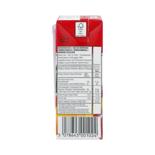 Shezan Punch Mix Fruit Drink 250ml